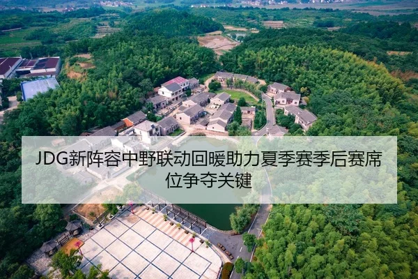 JDG新阵容中野联动回暖助力夏季赛季后赛席位争夺关键